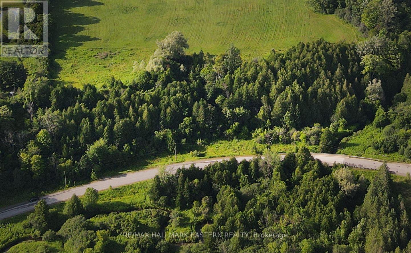 732 Zion 4th Line, Cavan Monaghan (Cavan Twp), Ontario  L0A 1G0 - Photo 7 - X11961693