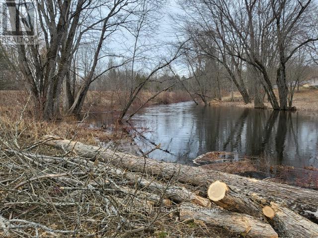56 Fire Route, Havelock-Belmont-Methuen (Belmont-Methuen), Ontario  K0L 1Z0 - Photo 10 - X11963791