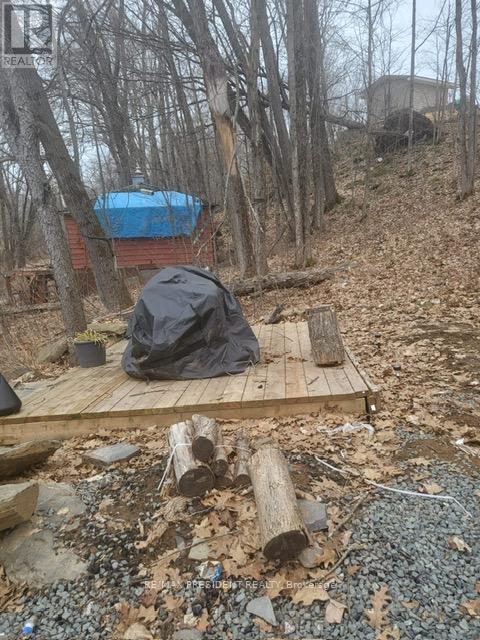 56 Fire Route, Havelock-Belmont-Methuen (Belmont-Methuen), Ontario  K0L 1Z0 - Photo 11 - X11963791
