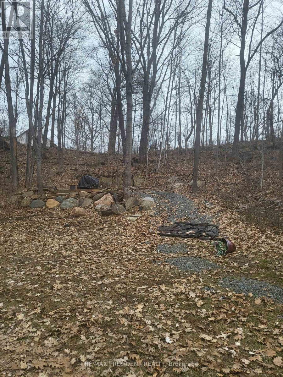 56 Fire Route, Havelock-Belmont-Methuen (Belmont-Methuen), Ontario  K0L 1Z0 - Photo 3 - X11963791