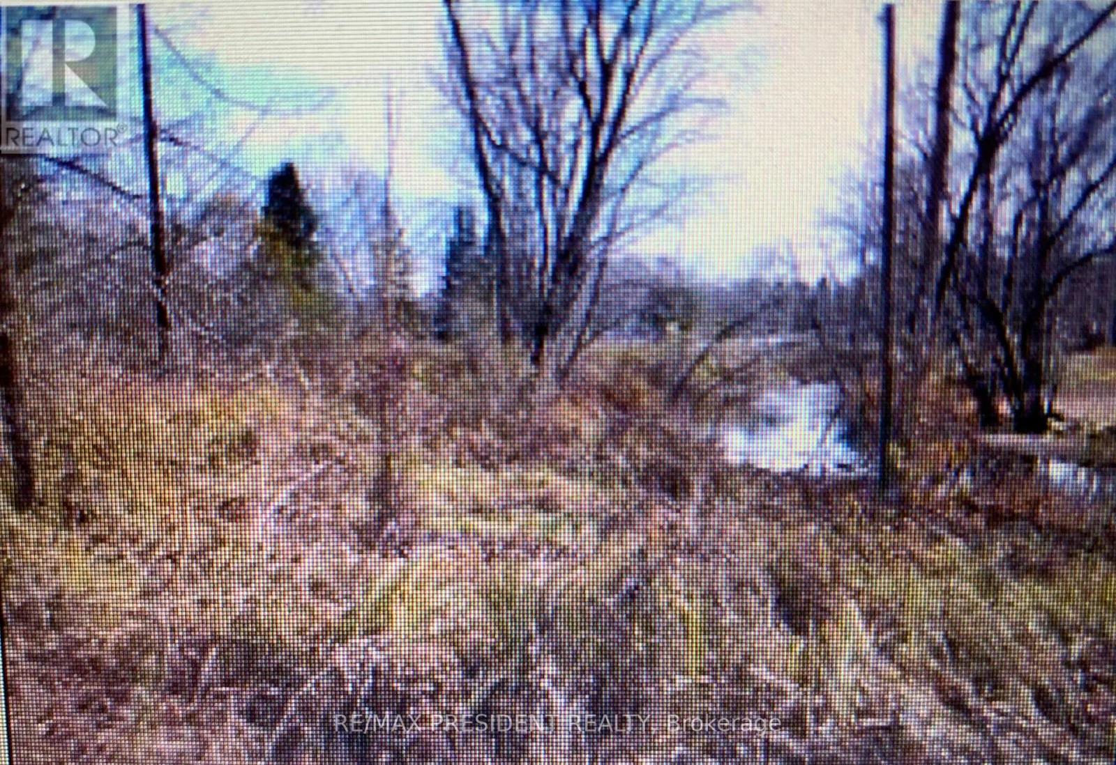 56 Fire Route, Havelock-Belmont-Methuen (Belmont-Methuen), Ontario  K0L 1Z0 - Photo 5 - X11963791