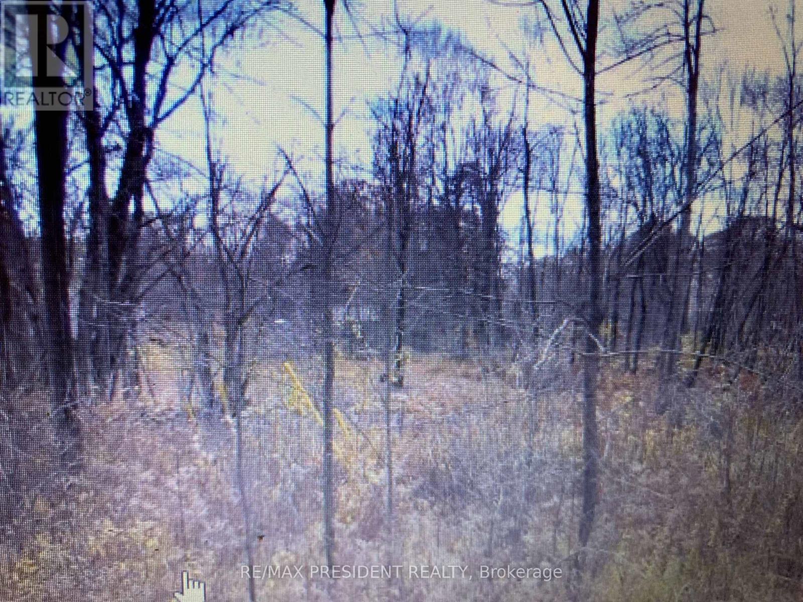56 Fire Route, Havelock-Belmont-Methuen (Belmont-Methuen), Ontario  K0L 1Z0 - Photo 7 - X11963791