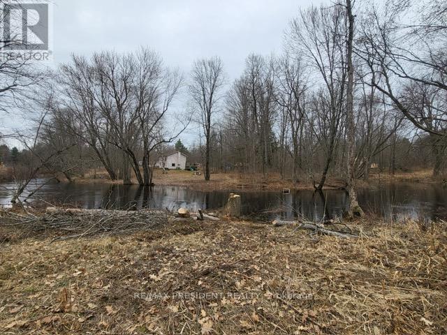 56 Fire Route, Havelock-Belmont-Methuen (Belmont-Methuen), Ontario  K0L 1Z0 - Photo 8 - X11963791