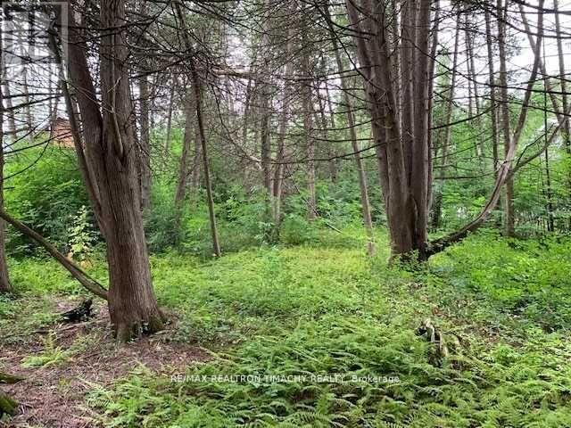 Lot 18 Northside Road, Kawartha Lakes (Emily), Ontario  K9V 4R5 - Photo 2 - X11967922