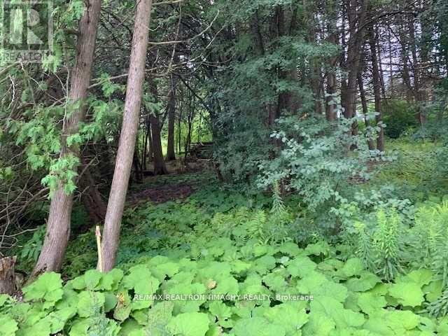 Lot 18 Northside Road, Kawartha Lakes (Emily), Ontario  K9V 4R5 - Photo 4 - X11967922