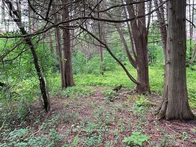 Lot 18 Northside Road, Kawartha Lakes (Emily), Ontario  K9V 4R5 - Photo 6 - X11967922