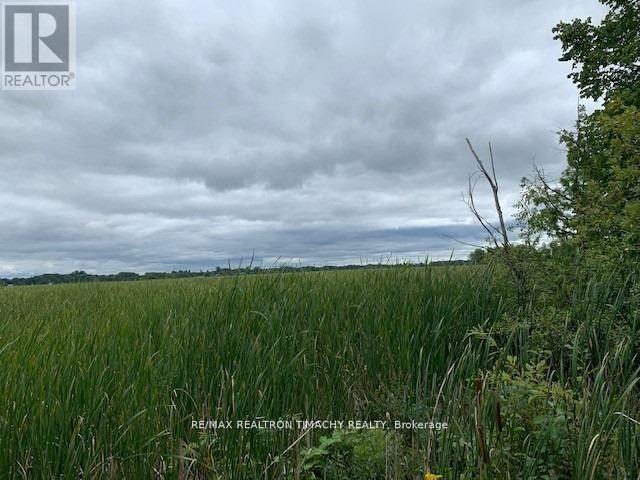 Lot 18 Northside Road, Kawartha Lakes (Emily), Ontario  K9V 4R5 - Photo 7 - X11967922
