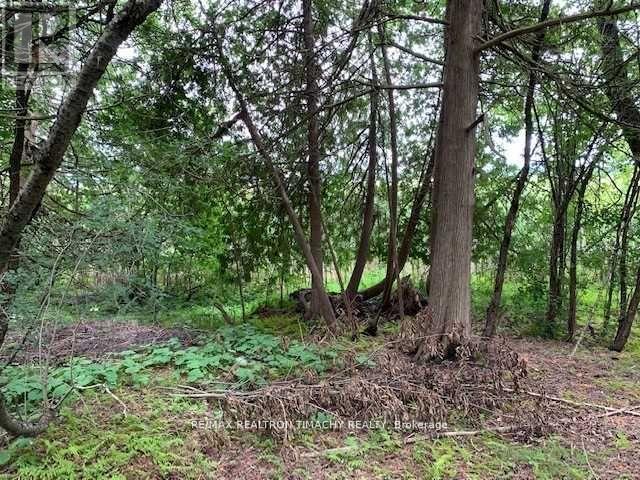 Lot 18 Northside Road, Kawartha Lakes (Emily), Ontario  K9V 4R5 - Photo 8 - X11967922