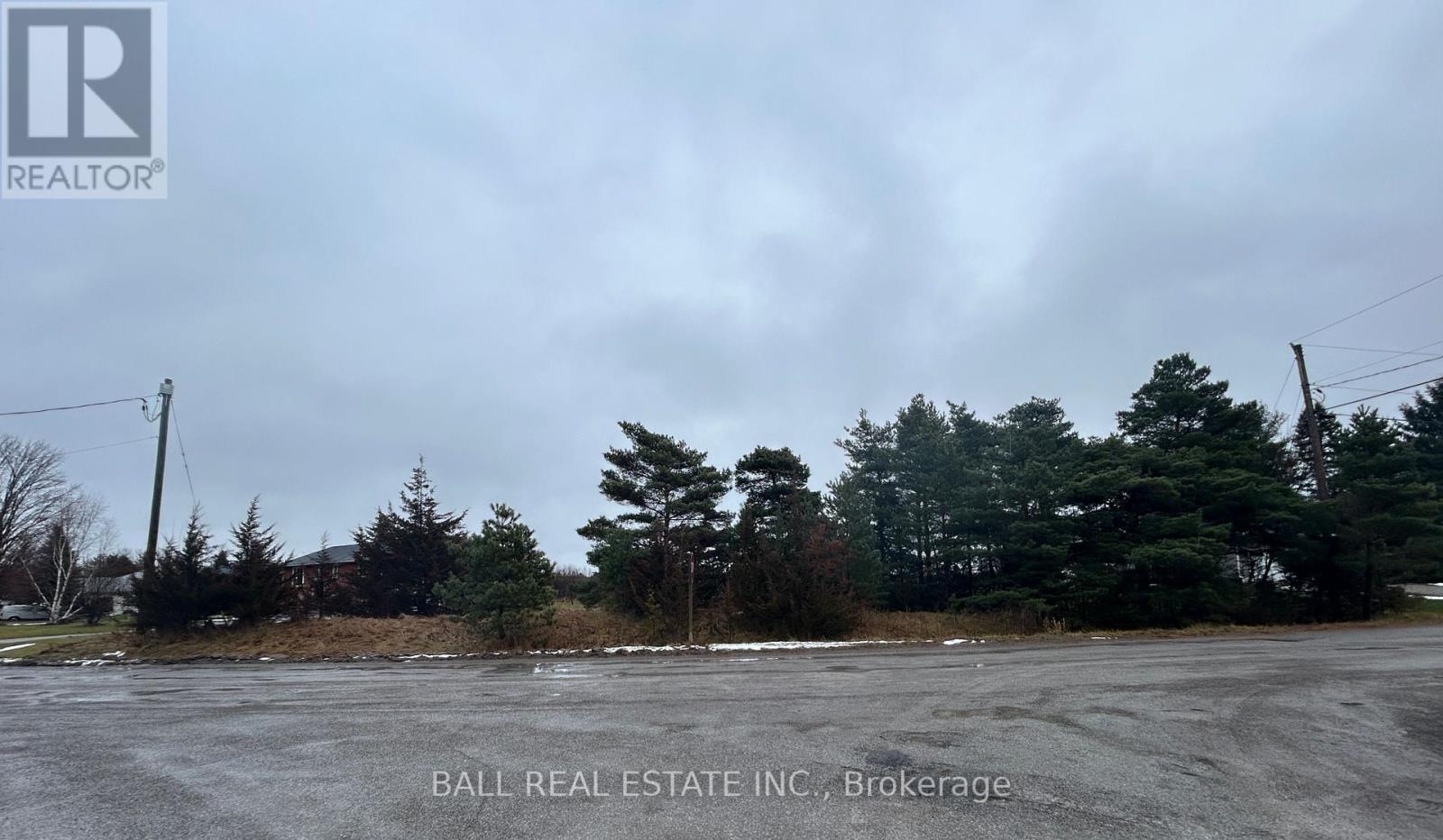 1753 Morris Avenue, Selwyn, Ontario  K0L 1T0 - Photo 4 - X11975758