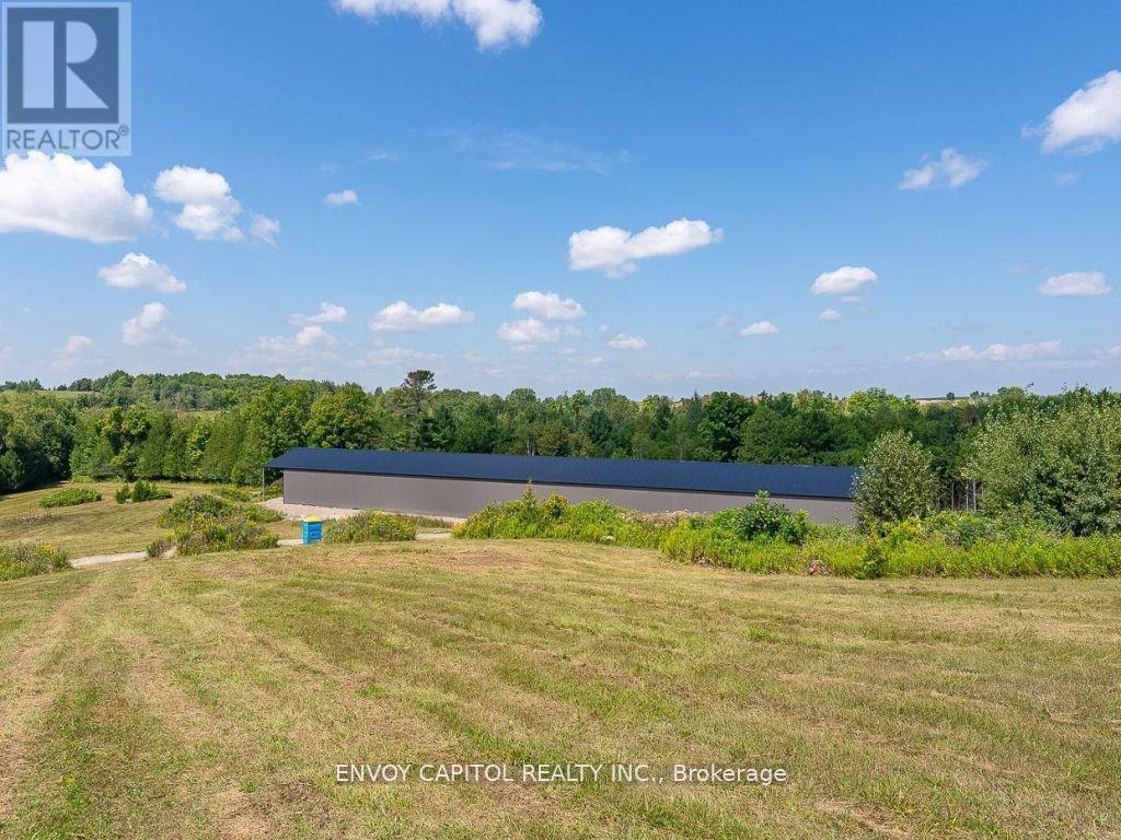 401 Grassy Road, Kawartha Lakes (Emily), Ontario  K0L 2W0 - Photo 7 - X11977188