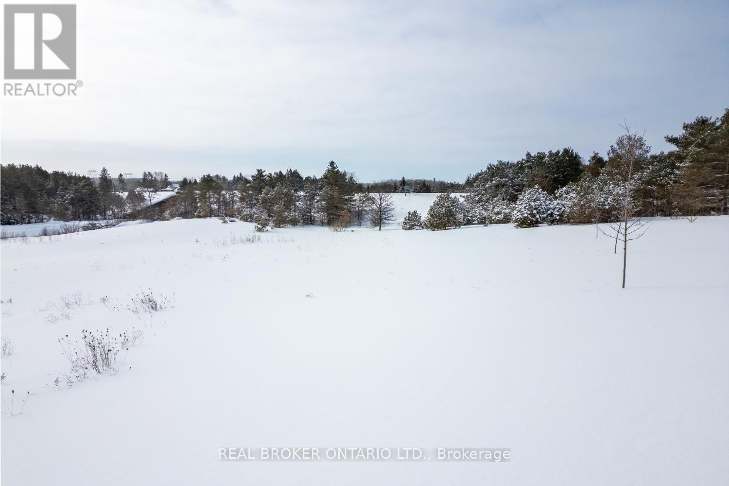 Part Lot 11 Concession 2 Manvers Part 2, Kawartha Lakes (Pontypool), Ontario  L0A 1K0 - Photo 9 - X11983064