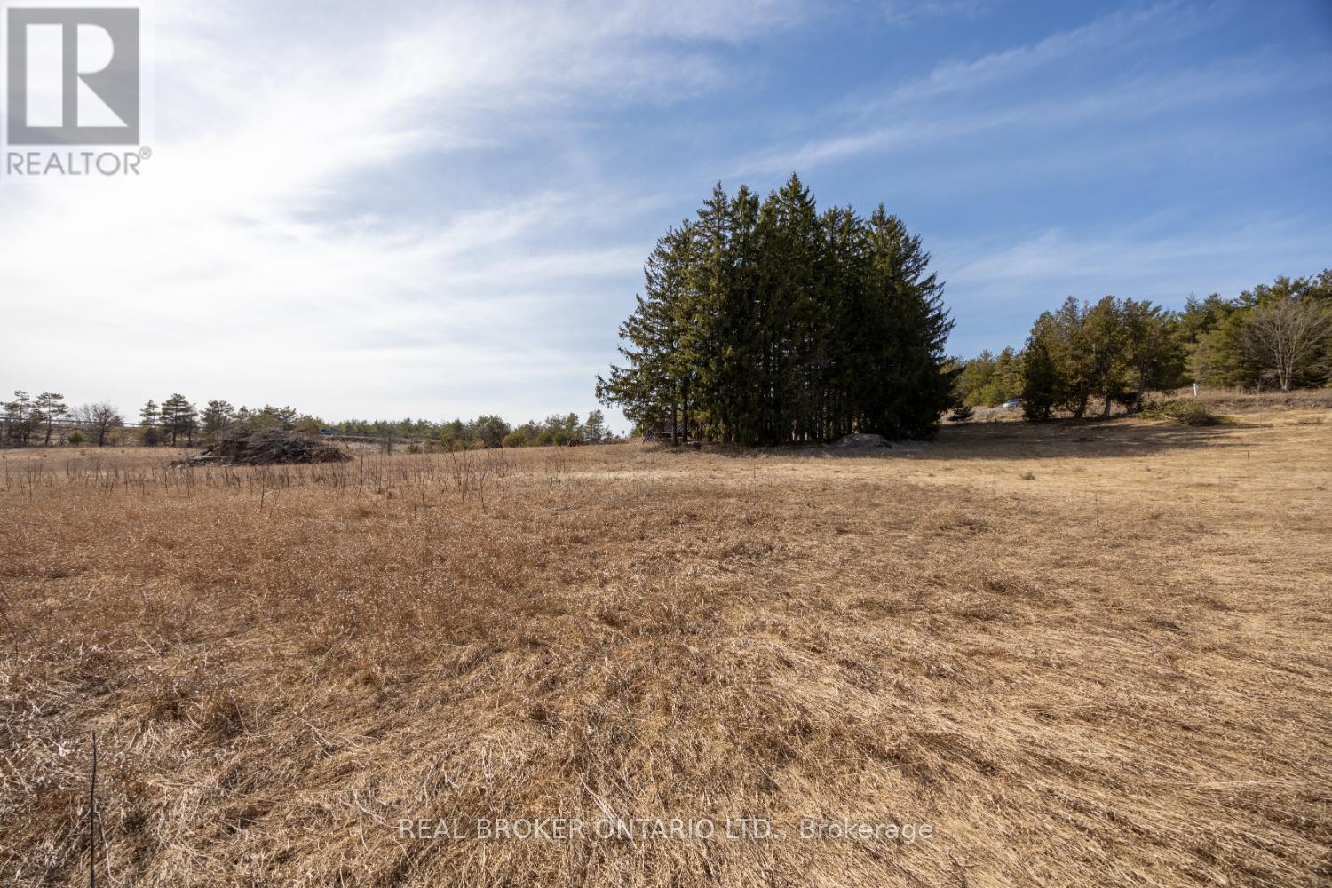 Part Lot 11 Concession 2 Manvers Part 3, Kawartha Lakes (Pontypool), Ontario  L0A 1K0 - Photo 3 - X11983084