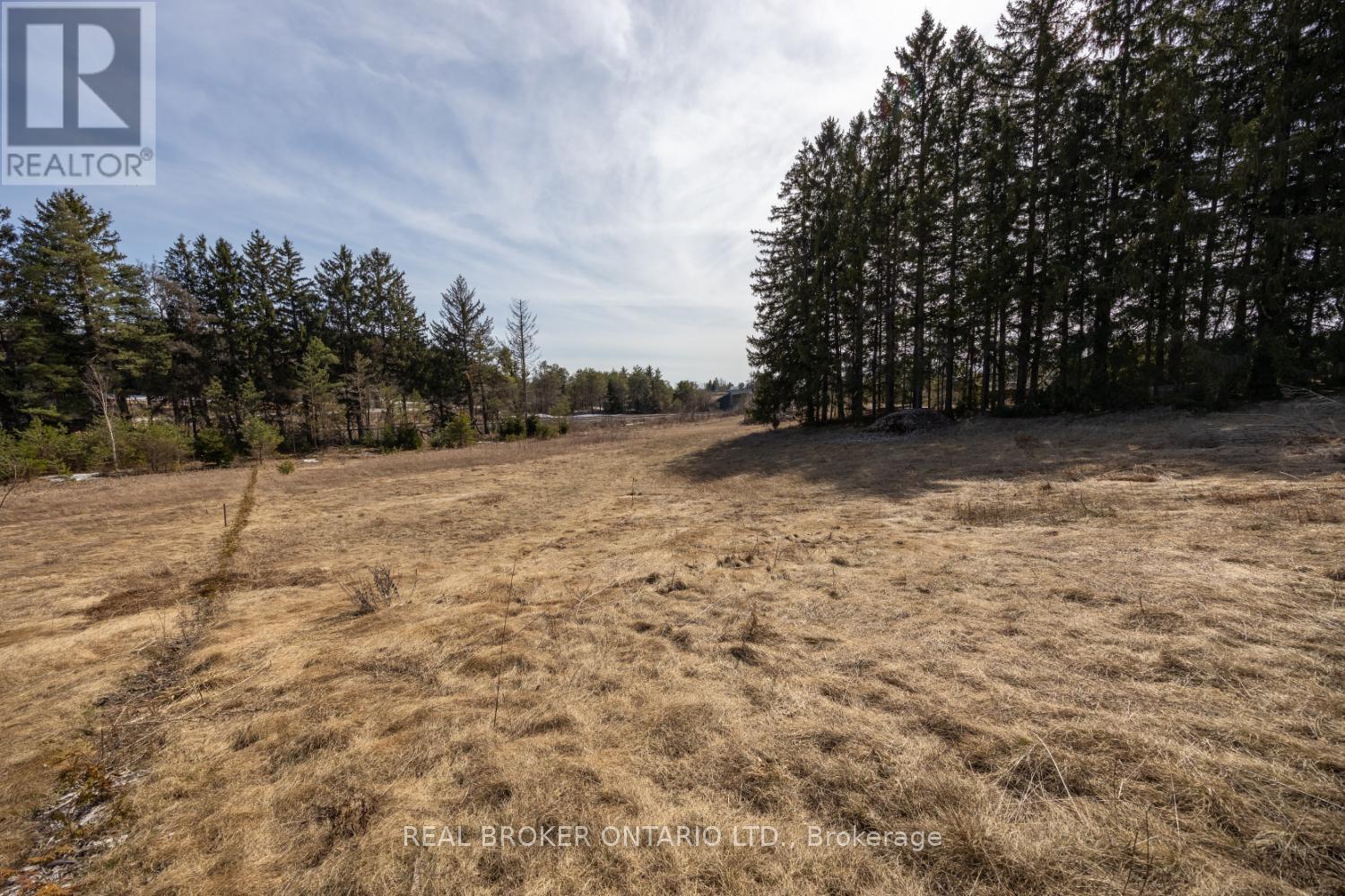 Part Lot 11 Concession 2 Manvers Part 3, Kawartha Lakes (Pontypool), Ontario  L0A 1K0 - Photo 4 - X11983084