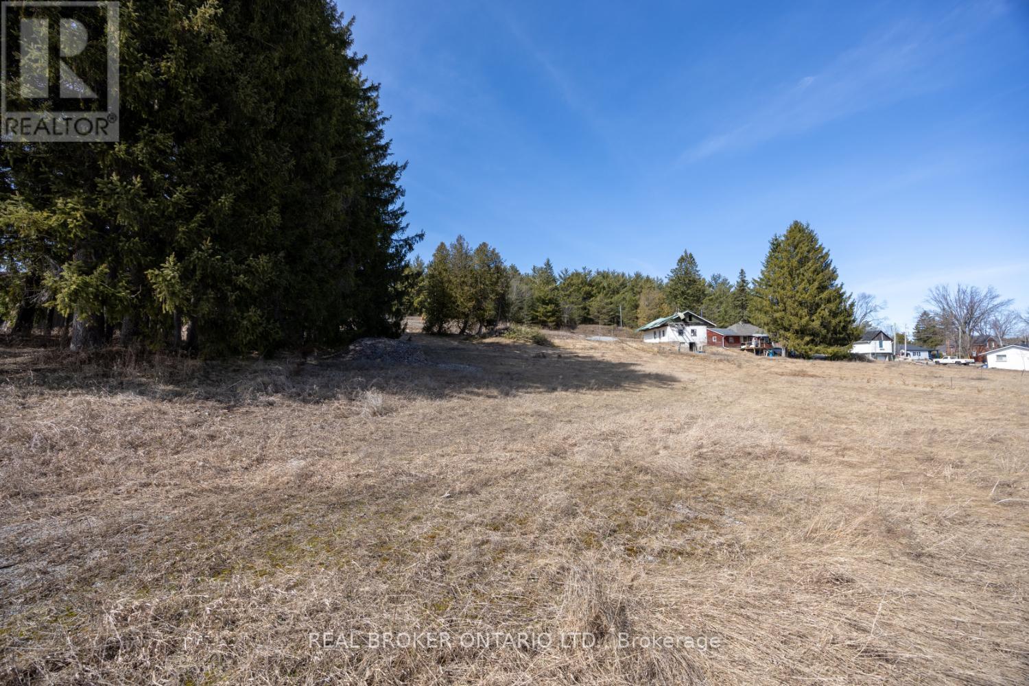 Part Lot 11 Concession 2 Manvers Part 3, Kawartha Lakes (Pontypool), Ontario  L0A 1K0 - Photo 6 - X11983084