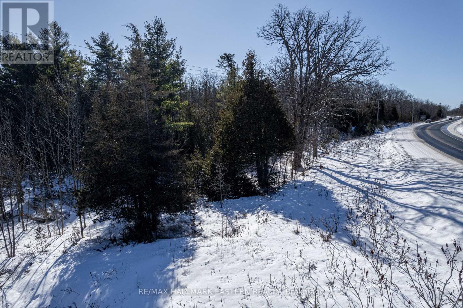 0 Hwy 28, Selwyn, Ontario  K0L 2H0 - Photo 15 - X11985527