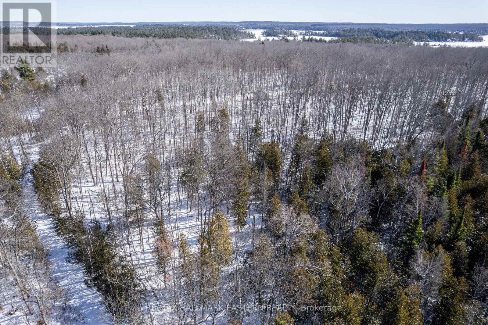 0 Hwy 28, Selwyn, Ontario  K0L 2H0 - Photo 16 - X11985527
