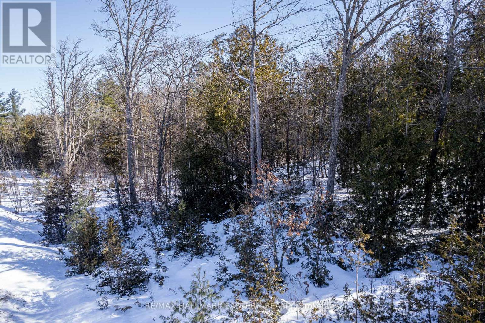 0 Hwy 28, Selwyn, Ontario  K0L 2H0 - Photo 17 - X11985527