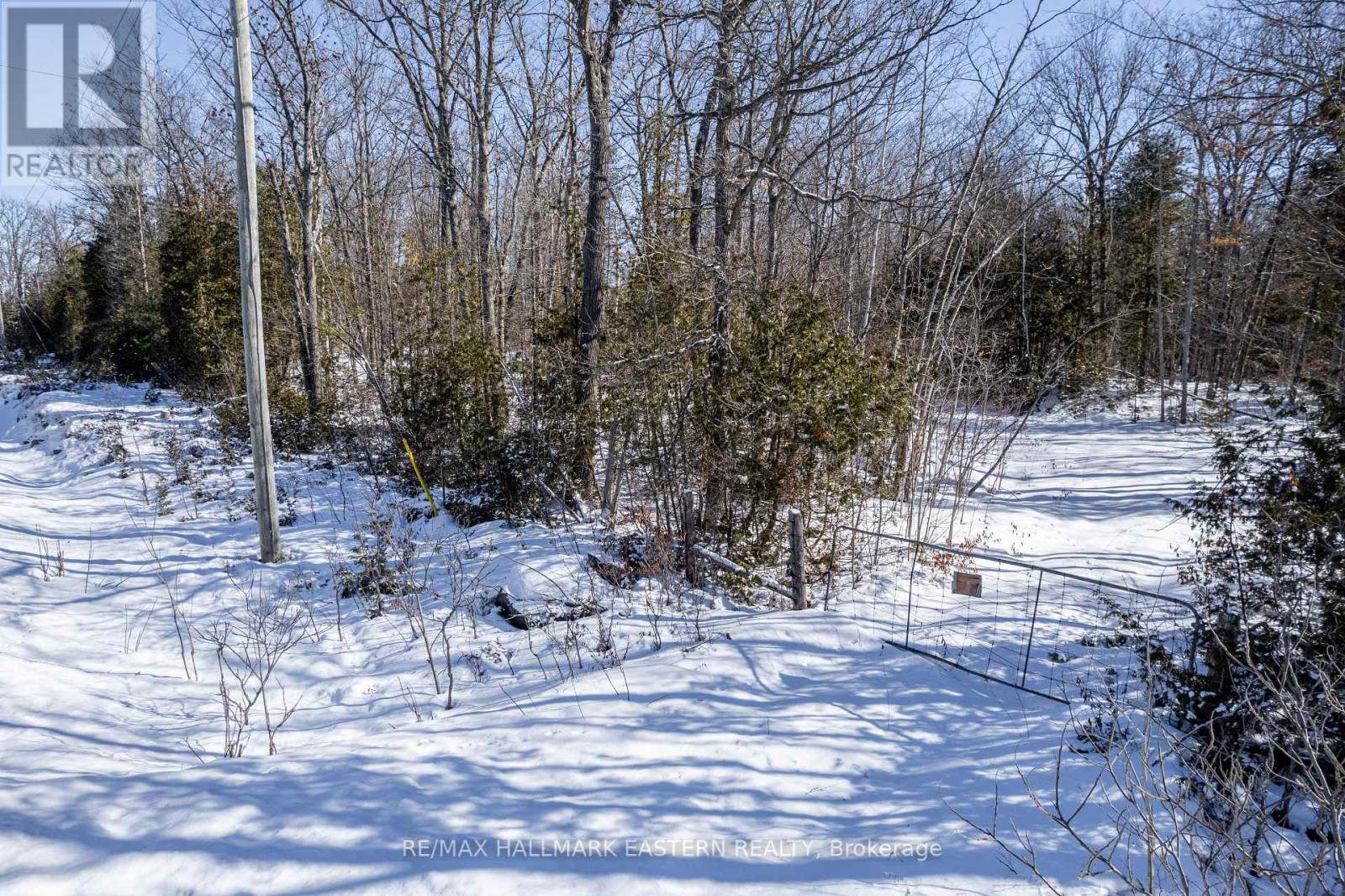 0 Hwy 28, Selwyn, Ontario  K0L 2H0 - Photo 4 - X11985527