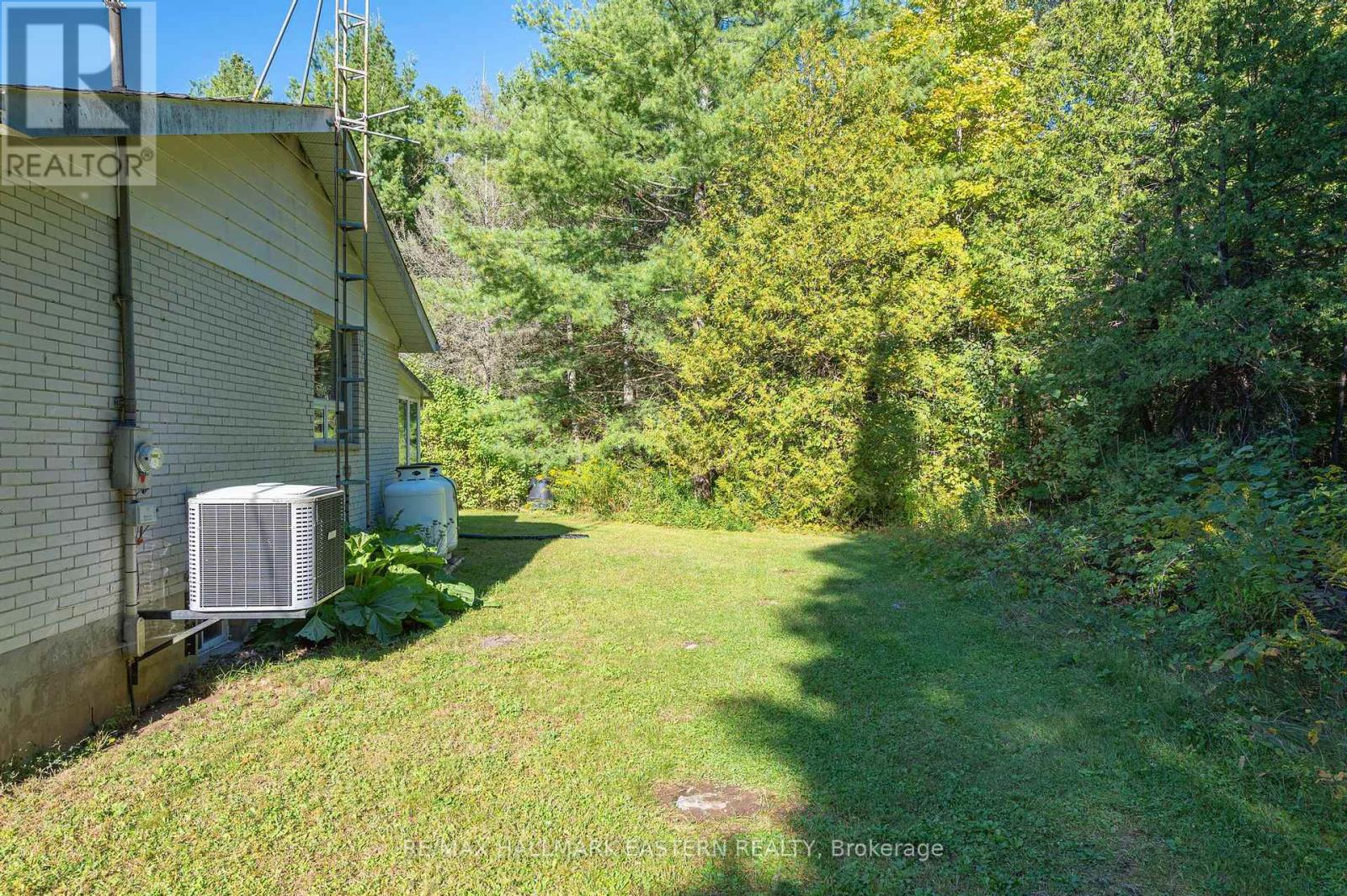 517 Belmont 2nd Line, Havelock-Belmont-Methuen (Belmont-Methuen), Ontario  K0L 1Z0 - Photo 25 - X11985998