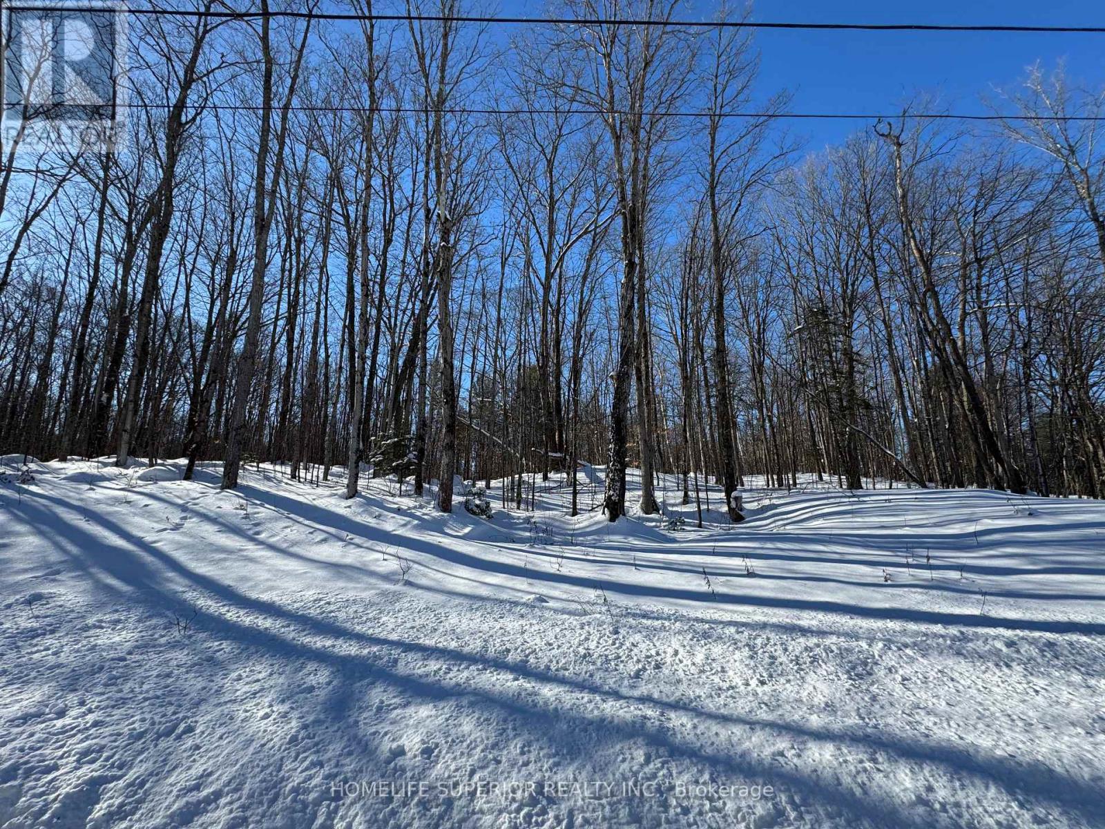 0 N BELMONT CONC 10, havelock-belmont-methuen (belmont-methuen), Ontario