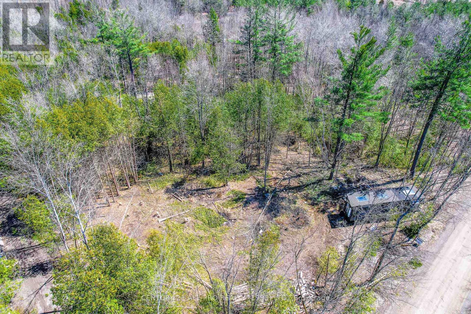 Lot 117 Baxter Road, Trent Hills, Ontario  K0L 1Y0 - Photo 16 - X11988419