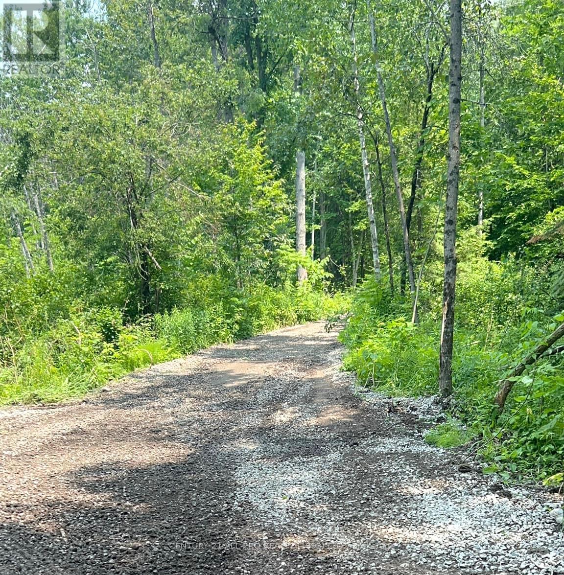 Lot 117 Baxter Road, Trent Hills, Ontario  K0L 1Y0 - Photo 2 - X11988419