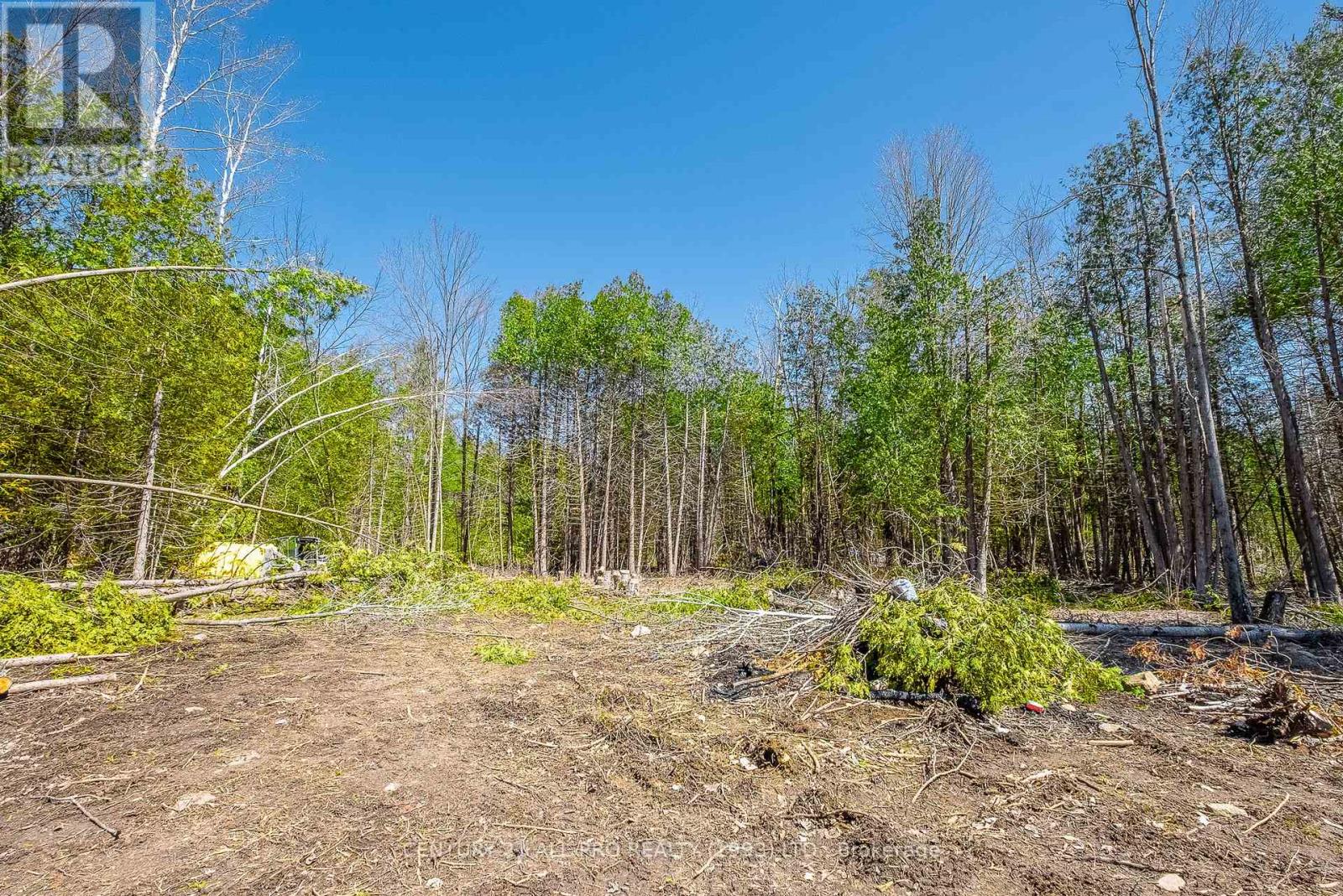 Lot 117 Baxter Road, Trent Hills, Ontario  K0L 1Y0 - Photo 5 - X11988419