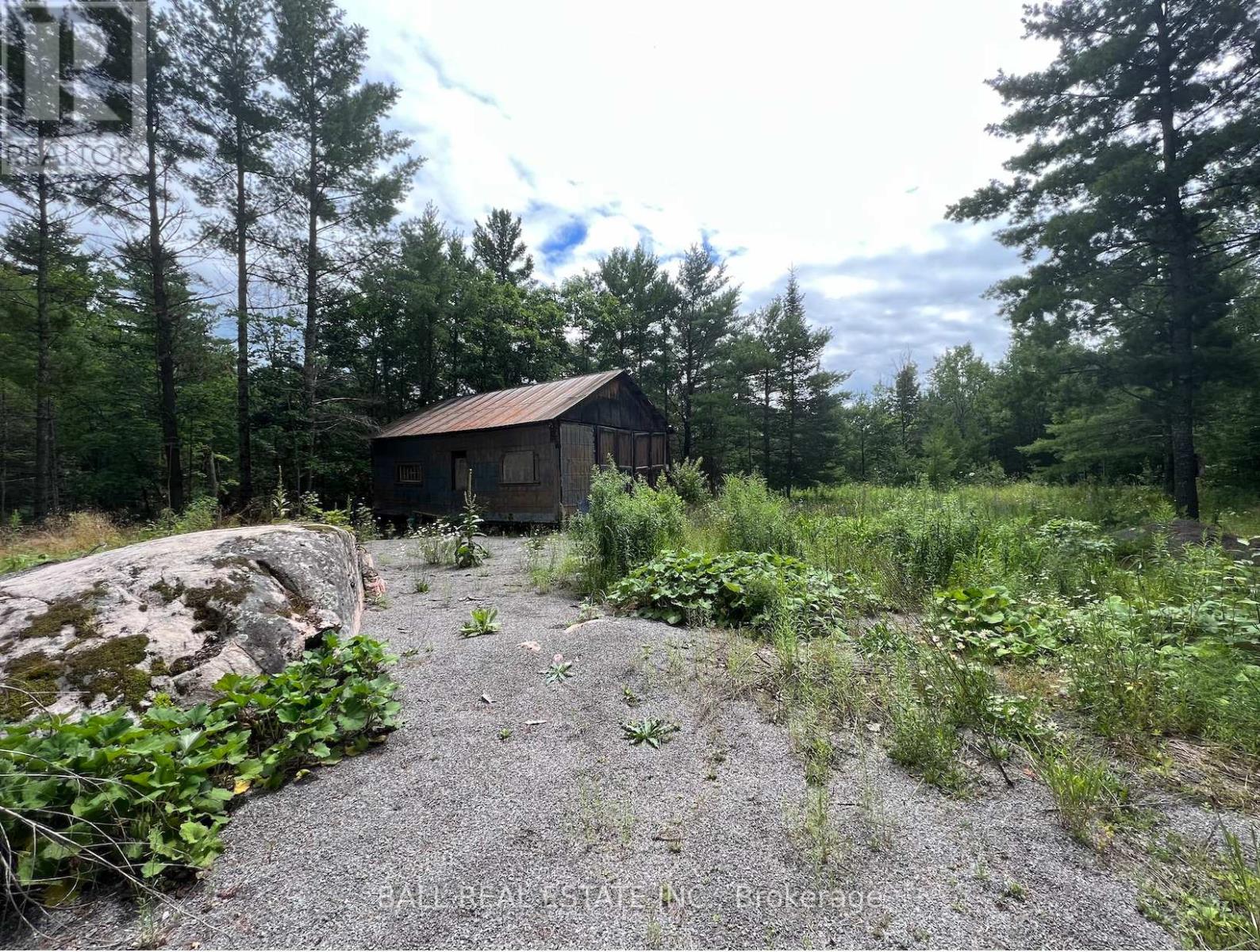 3 Fire Route 81, Trent Lakes, Ontario  K0L 1J0 - Photo 10 - X11989938