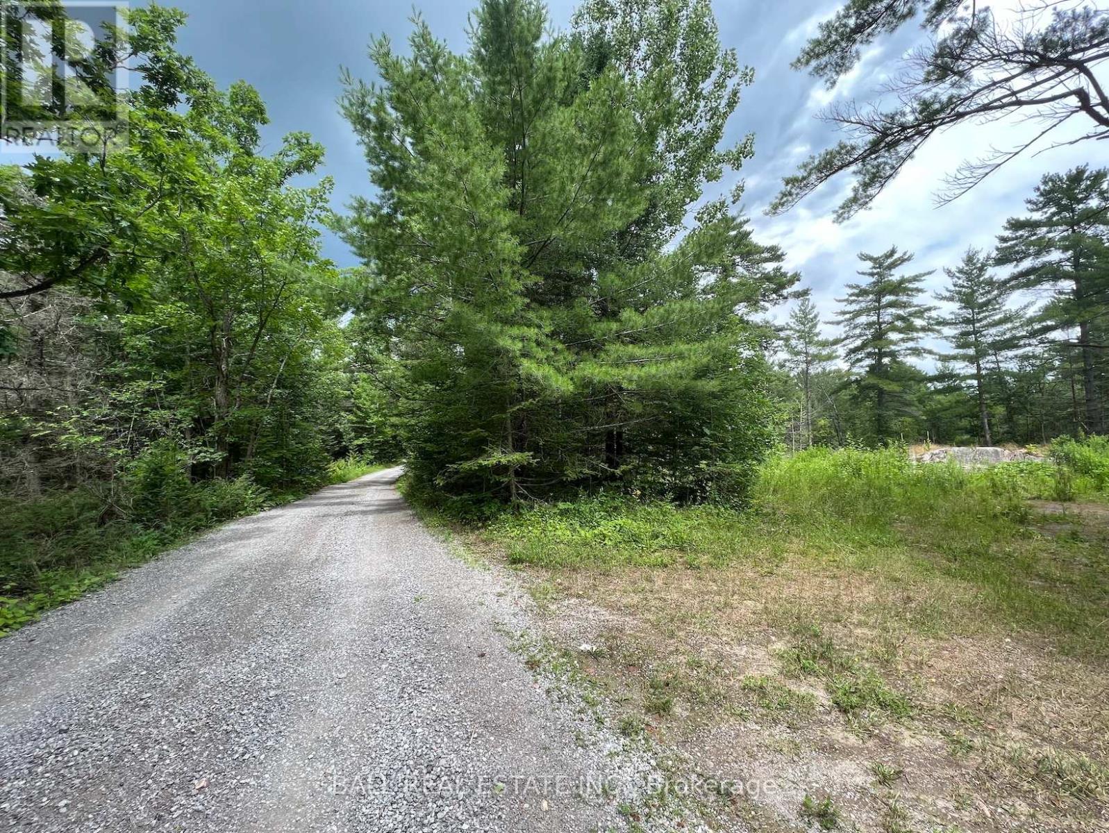 3 Fire Route 81, Trent Lakes, Ontario  K0L 1J0 - Photo 2 - X11989938