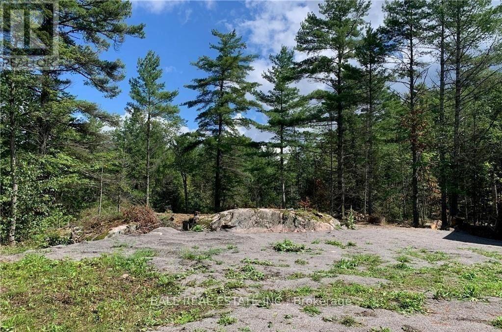 3 Fire Route 81, Trent Lakes, Ontario  K0L 1J0 - Photo 3 - X11989938