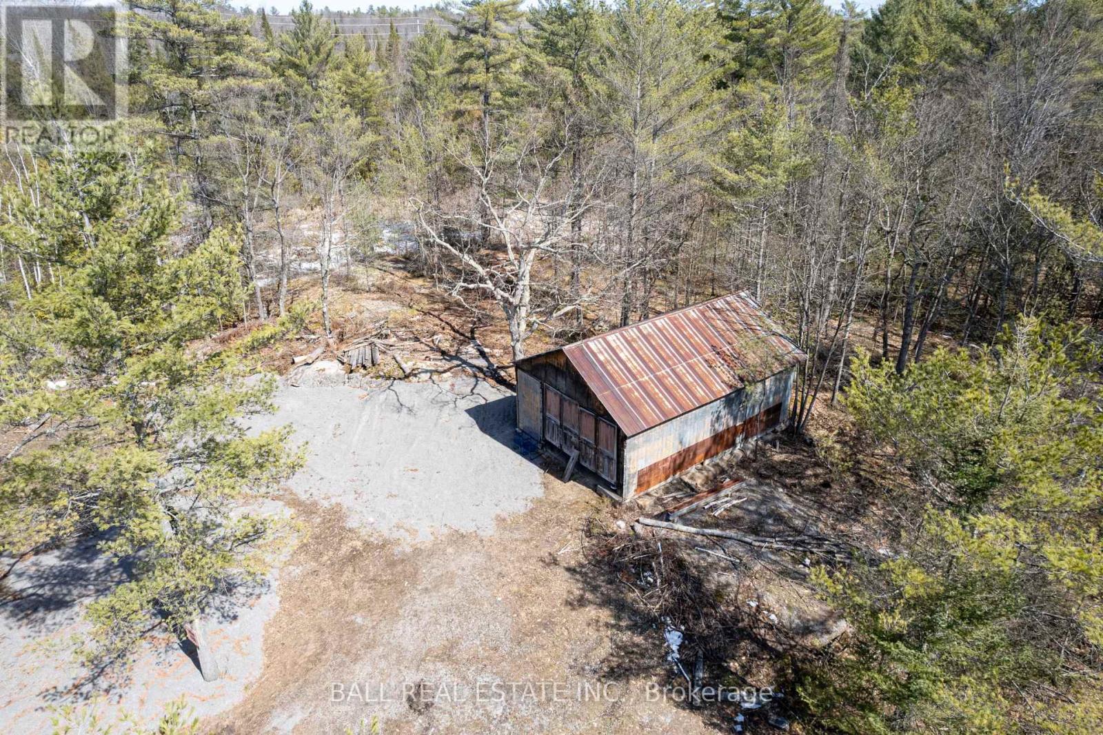 3 Fire Route 81, Trent Lakes, Ontario  K0L 1J0 - Photo 4 - X11989938