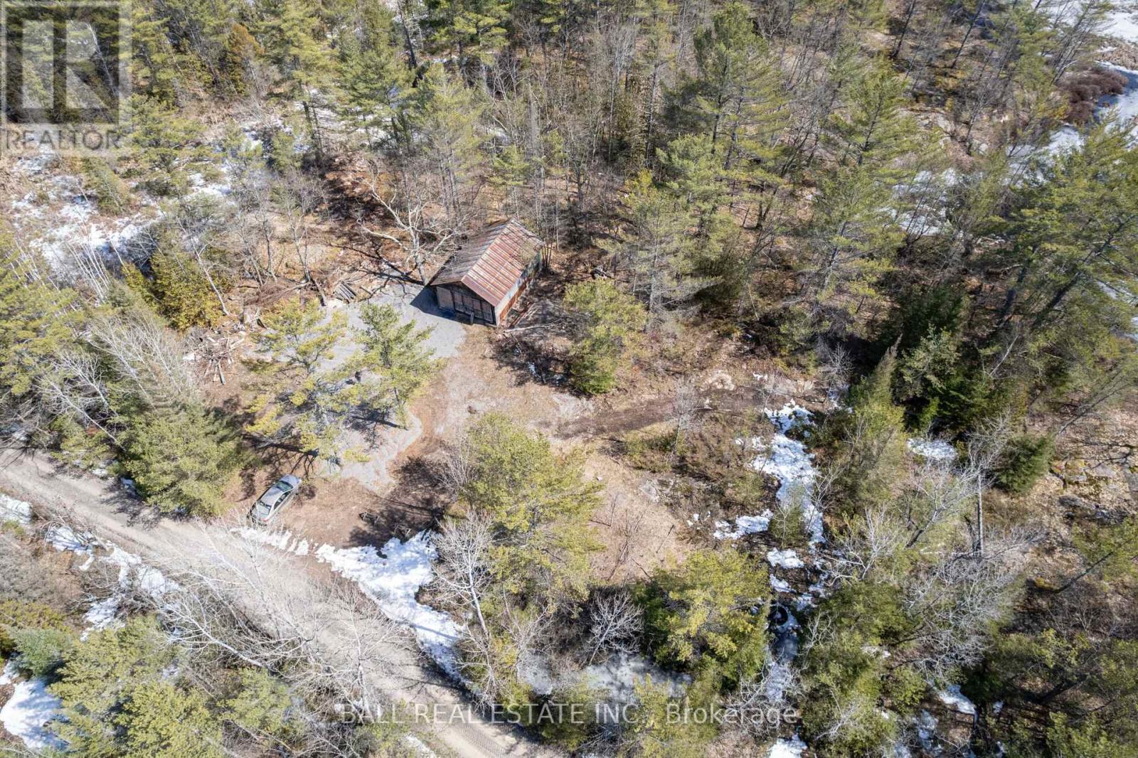 3 Fire Route 81, Trent Lakes, Ontario  K0L 1J0 - Photo 5 - X11989938