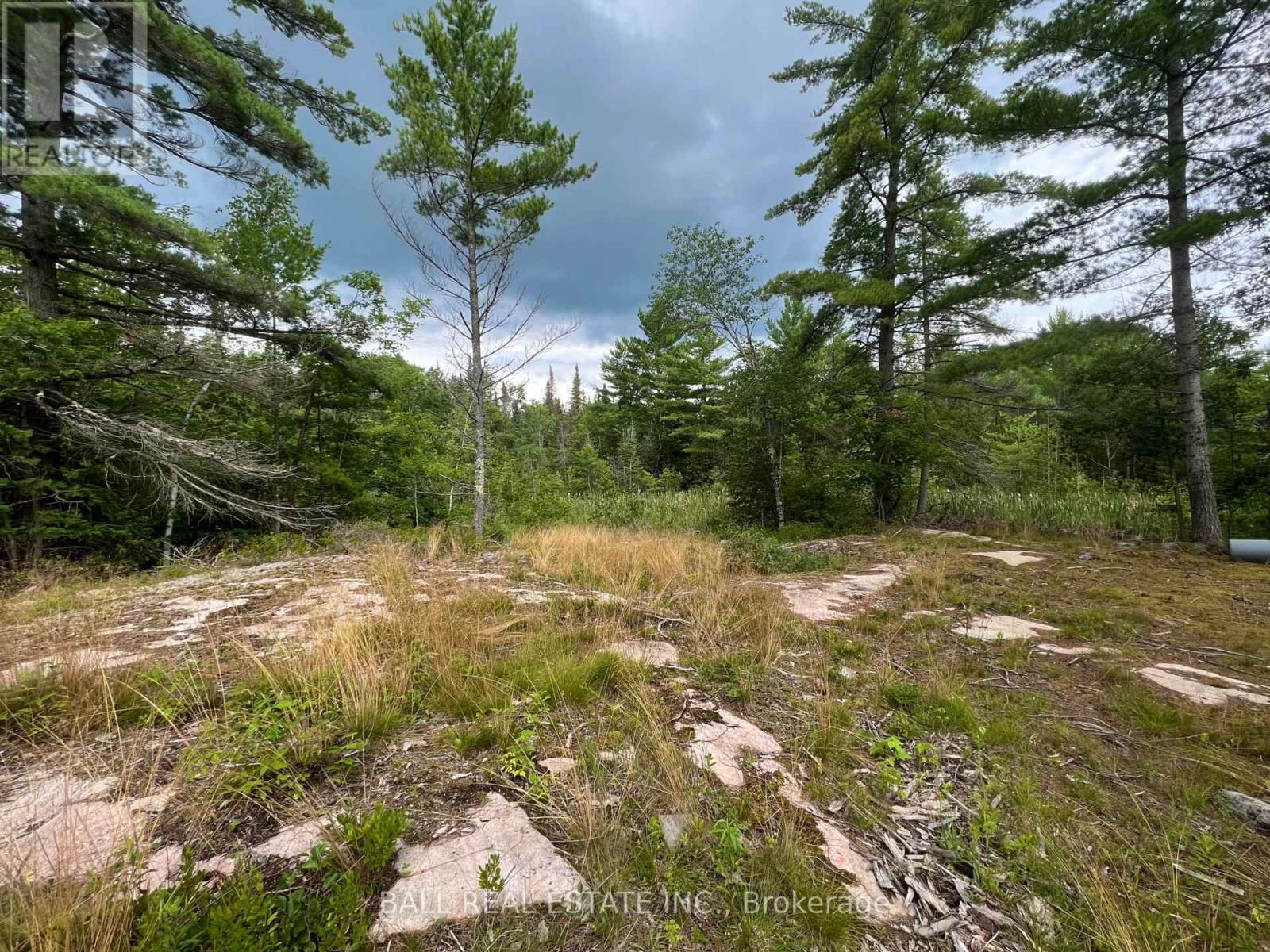 3 Fire Route 81, Trent Lakes, Ontario  K0L 1J0 - Photo 8 - X11989938