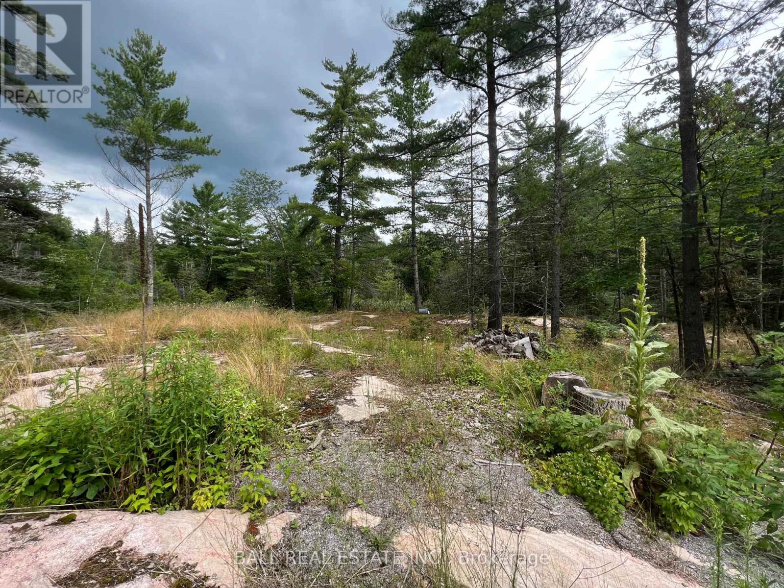 3 Fire Route 81, Trent Lakes, Ontario  K0L 1J0 - Photo 9 - X11989938