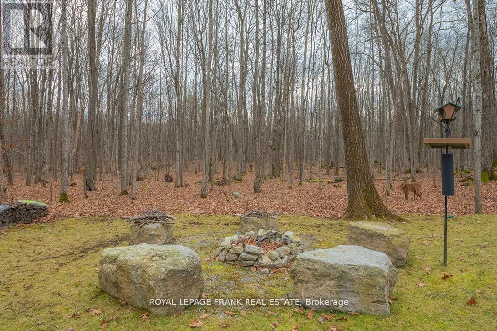 24 Ted's Lane, Trent Lakes, Ontario  K0L 1J0 - Photo 38 - X11993368