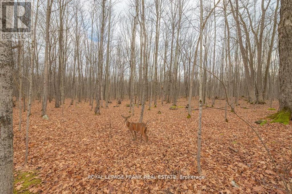 24 Ted's Lane, Trent Lakes, Ontario  K0L 1J0 - Photo 39 - X11993368