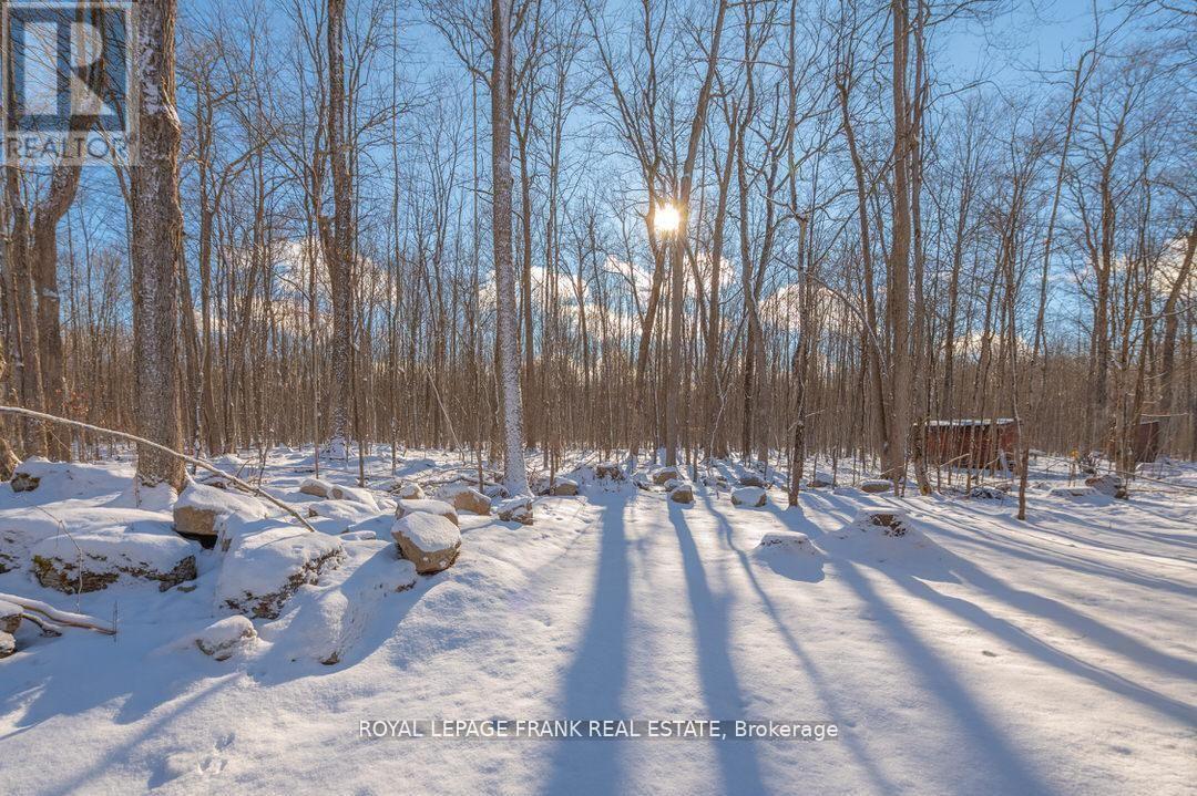 24 Ted's Lane, Trent Lakes, Ontario  K0L 1J0 - Photo 40 - X11993368