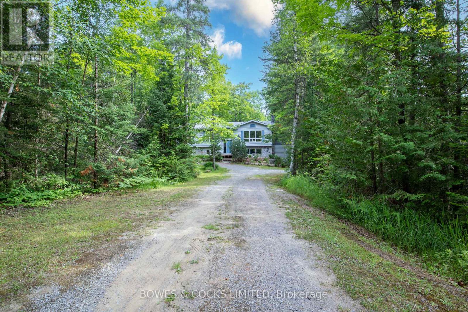 1662 County Rd 504, North Kawartha, Ontario  K0L 1A0 - Photo 8 - X11993441