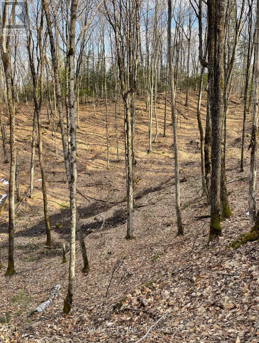 0 Brown Lane, Faraday, Ontario  K0L 2L0 - Photo 1 - X11996882