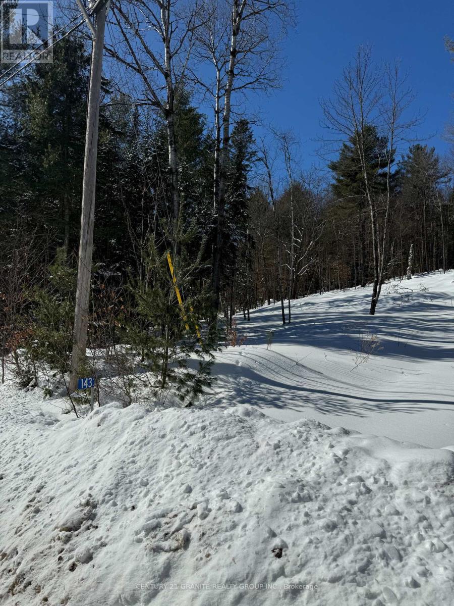 143 Maxwell Settlement Road, Bancroft (Bancroft Ward), Ontario  K0L 1C0 - Photo 12 - X11997221