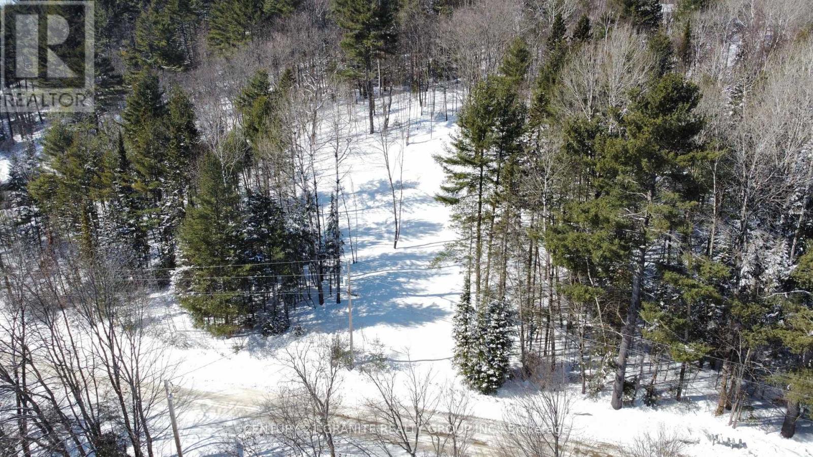 143 Maxwell Settlement Road, Bancroft (Bancroft Ward), Ontario  K0L 1C0 - Photo 4 - X11997221
