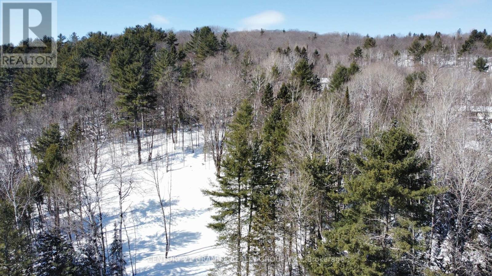 143 Maxwell Settlement Road, Bancroft (Bancroft Ward), Ontario  K0L 1C0 - Photo 5 - X11997221