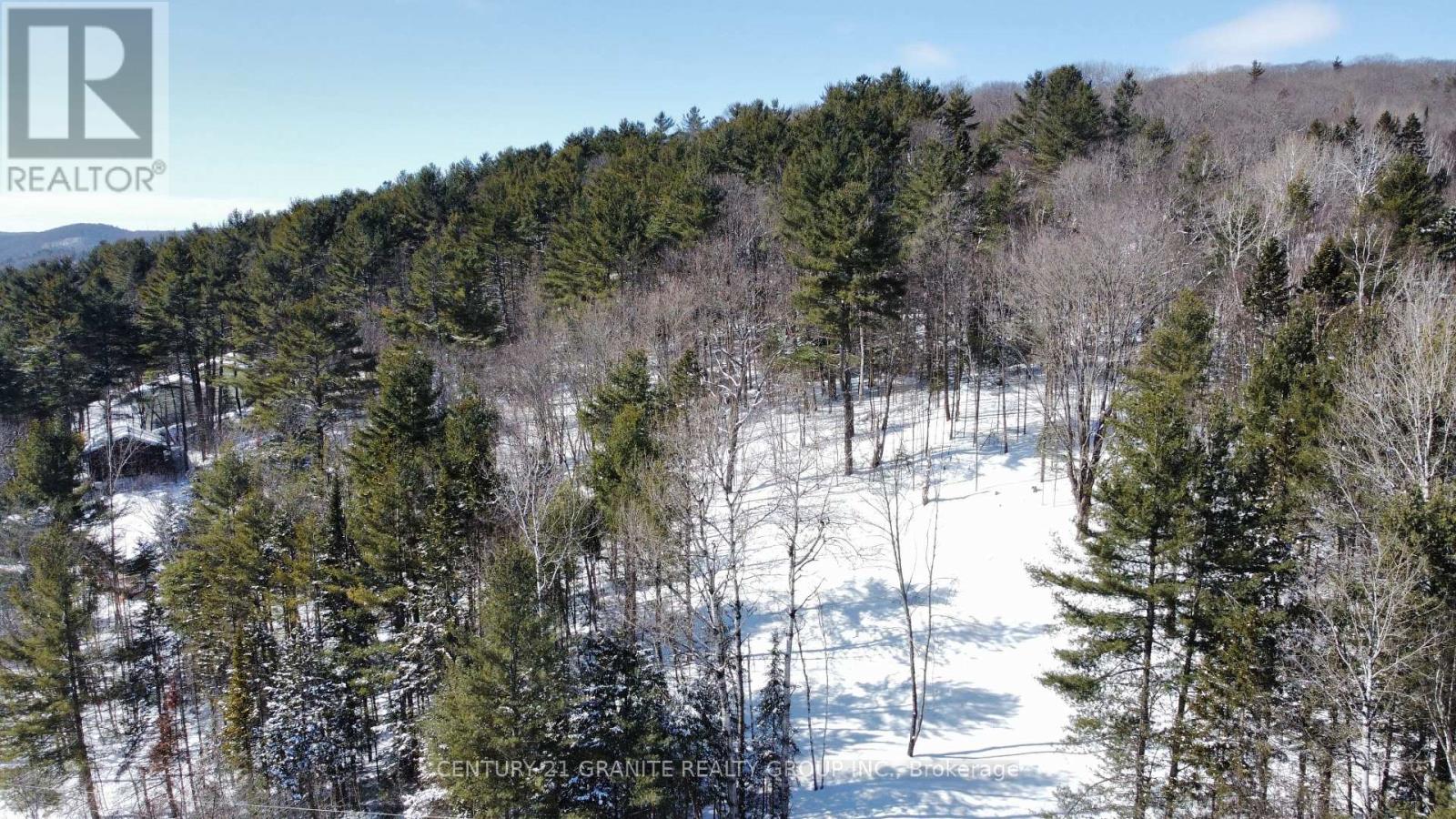 143 Maxwell Settlement Road, Bancroft (Bancroft Ward), Ontario  K0L 1C0 - Photo 6 - X11997221