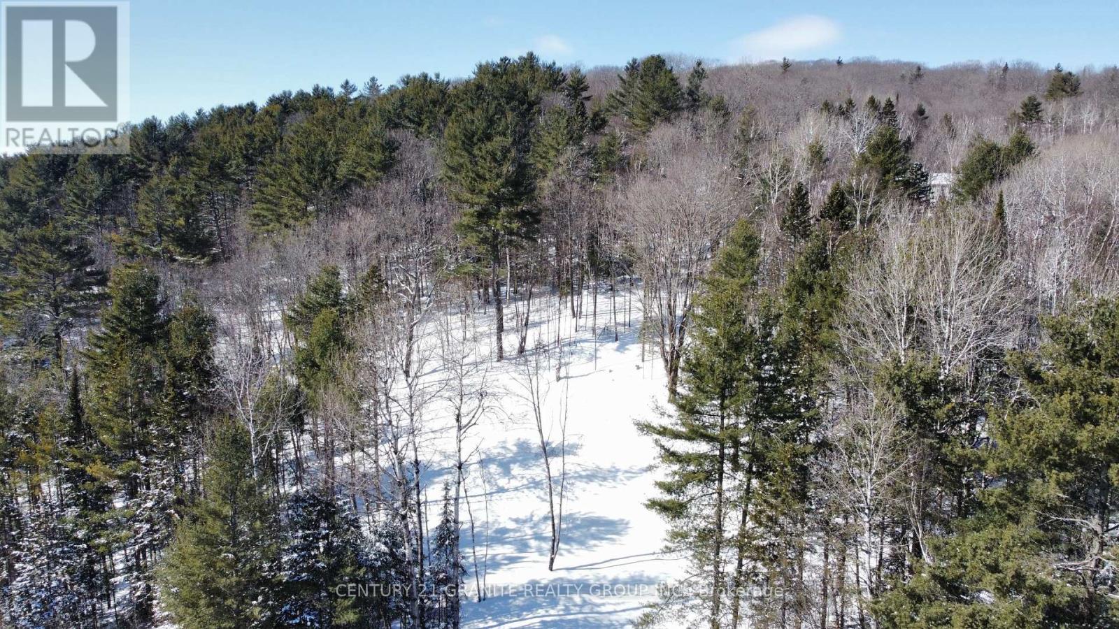 143 Maxwell Settlement Road, Bancroft (Bancroft Ward), Ontario  K0L 1C0 - Photo 7 - X11997221