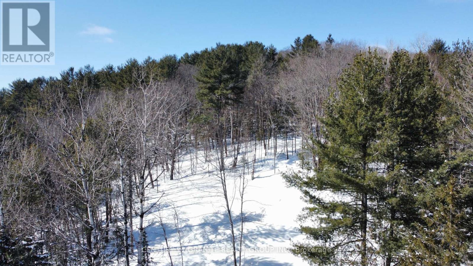 143 Maxwell Settlement Road, Bancroft (Bancroft Ward), Ontario  K0L 1C0 - Photo 8 - X11997221
