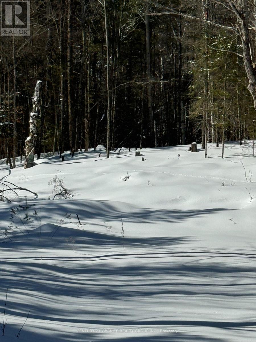 143 Maxwell Settlement Road, Bancroft (Bancroft Ward), Ontario  K0L 1C0 - Photo 9 - X11997221