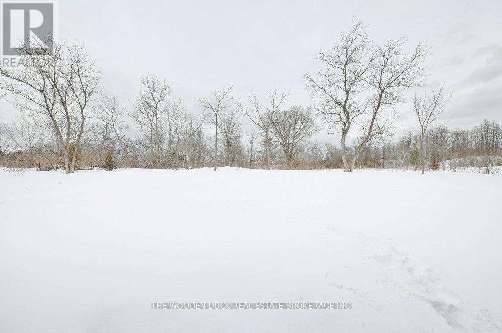 3 Mclean Avenue, Havelock-Belmont-Methuen (Havelock), Ontario  K0L 1Z0 - Photo 31 - X12001539
