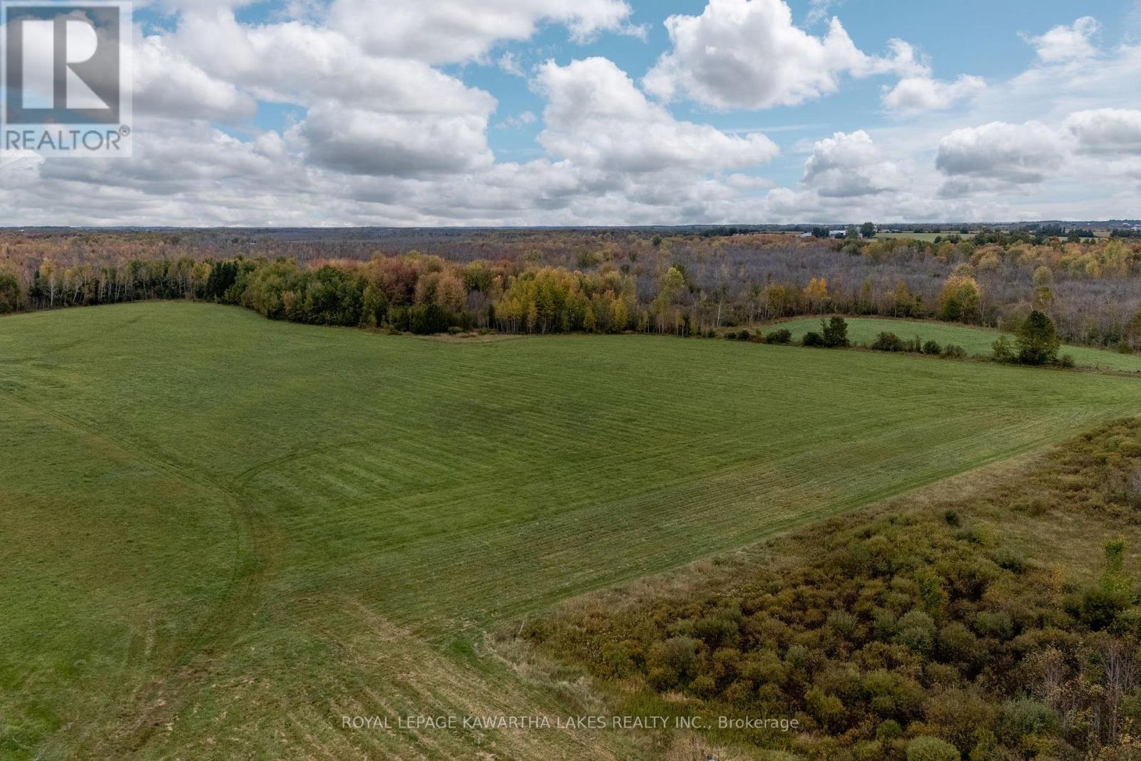 373 Cheese Factory Road, Kawartha Lakes (Ops), Ontario  K9V 4R3 - Photo 2 - X12002716