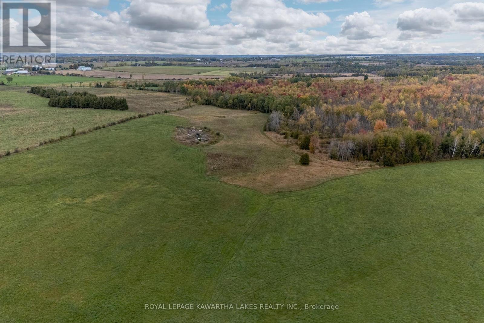 373 Cheese Factory Road, Kawartha Lakes (Ops), Ontario  K9V 4R3 - Photo 3 - X12002716