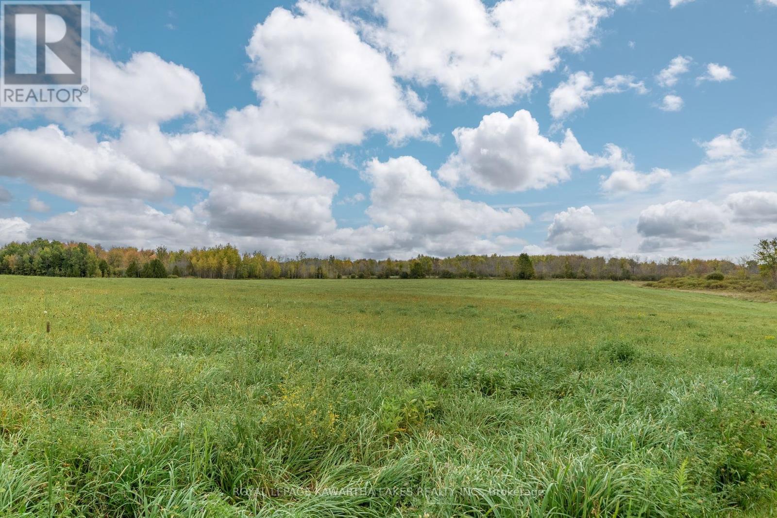 373 Cheese Factory Road, Kawartha Lakes (Ops), Ontario  K9V 4R3 - Photo 38 - X12002716